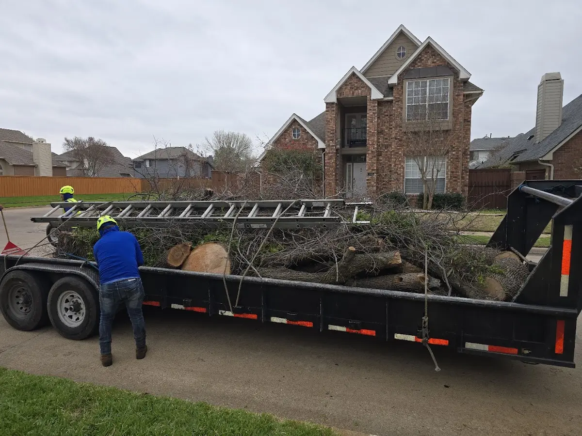 Expert Tree Removal with proper safety equipment in Kenosha